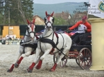 Název souboru=2010_pankova_04617.jpg
Velikost souboru=374KB
Rozměry=800x600
Datum přidání=09. Květen 2010 2010_pankova_04617.jpg