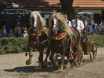 Název souboru=2010_pankova_06449.jpg
Velikost souboru=256KB
Rozměry=800x600
Datum přidání=06. Červenec 2010 2010_pankova_06449.jpg