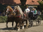 Název souboru=2010_pankova_06452.jpg
Velikost souboru=275KB
Rozměry=800x600
Datum přidání=06. Červenec 2010 2010_pankova_06452.jpg