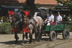 Název souboru=2010_pankova_06459.jpg
Velikost souboru=238KB
Rozměry=800x534
Datum přidání=06. Červenec 2010 2010_pankova_06459.jpg