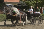 Název souboru=2010_pankova_06470.jpg
Velikost souboru=254KB
Rozměry=800x533
Datum přidání=06. Červenec 2010 2010_pankova_06470.jpg