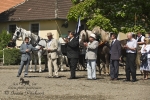 Název souboru=2010_pankova_06488.jpg
Velikost souboru=257KB
Rozměry=800x534
Datum přidání=01. Červenec 2010 2010_pankova_06488.jpg
