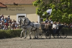 Název souboru=2010_pankova_06492.jpg
Velikost souboru=257KB
Rozměry=800x534
Datum přidání=06. Červenec 2010 2010_pankova_06492.jpg