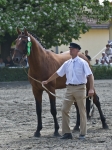 Název souboru=2010_pankova_06519.jpg
Velikost souboru=216KB
Rozměry=600x800
Datum přidání=06. Červenec 2010 2010_pankova_06519.jpg