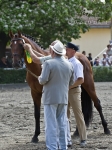 Název souboru=2010_pankova_06520.jpg
Velikost souboru=209KB
Rozměry=599x800
Datum přidání=01. Červenec 2010 2010_pankova_06520.jpg
