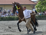 Název souboru=2010_pankova_06536.jpg
Velikost souboru=219KB
Rozměry=800x600
Datum přidání=01. Červenec 2010 2010_pankova_06536.jpg