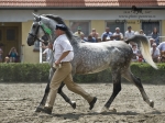 Název souboru=2010_pankova_06612.jpg
Velikost souboru=215KB
Rozměry=800x600
Datum přidání=01. Červenec 2010 2010_pankova_06612.jpg