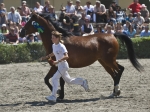 Název souboru=2010_pankova_06787.jpg
Velikost souboru=232KB
Rozměry=800x599
Datum přidání=06. Červenec 2010 2010_pankova_06787.jpg
