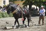 Název souboru=2010_pankova_06796.jpg
Velikost souboru=216KB
Rozměry=800x534
Datum přidání=06. Červenec 2010 2010_pankova_06796.jpg