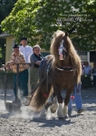 Název souboru=2010_pankova_06900.jpg
Velikost souboru=228KB
Rozměry=566x800
Datum přidání=06. Červenec 2010 2010_pankova_06900.jpg