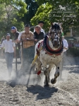 Název souboru=2010_pankova_06905.jpg
Velikost souboru=244KB
Rozměry=600x800
Datum přidání=06. Červenec 2010 2010_pankova_06905.jpg
