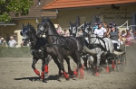 Název souboru=2010_pankova_06924.jpg
Velikost souboru=195KB
Rozměry=800x533
Datum přidání=08. Červenec 2010 2010_pankova_06924.jpg