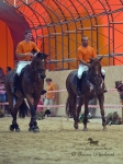 Název souboru=2010_pankova_07363.jpg
Velikost souboru=236KB
Rozměry=600x800
Datum přidání=16. Červenec 2010 2010_pankova_07363.jpg