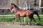Název souboru=IPA_4195.jpg
Velikost souboru=467KB
Rozměry=800x534
Datum přidání=17. Květen 2009 IPA_4195.jpg