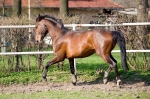 Název souboru=IPA_4196.jpg
Velikost souboru=524KB
Rozměry=800x533
Datum přidání=17. Květen 2009 IPA_4196.jpg