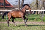 Název souboru=IPA_4200.jpg
Velikost souboru=457KB
Rozměry=800x534
Datum přidání=17. Květen 2009 IPA_4200.jpg