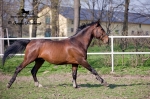 Název souboru=IPA_4201.jpg
Velikost souboru=452KB
Rozměry=800x533
Datum přidání=17. Květen 2009 IPA_4201.jpg