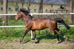 Název souboru=IPA_4205.jpg
Velikost souboru=484KB
Rozměry=800x533
Datum přidání=17. Květen 2009 IPA_4205.jpg