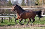 Název souboru=IPA_4209.jpg
Velikost souboru=482KB
Rozměry=800x533
Datum přidání=17. Květen 2009 IPA_4209.jpg
