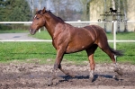 Název souboru=IPA_4267.jpg
Velikost souboru=395KB
Rozměry=800x533
Datum přidání=17. Květen 2009 IPA_4267.jpg