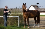 Název souboru=IPA_4321.jpg
Velikost souboru=367KB
Rozměry=800x533
Datum přidání=17. Květen 2009 IPA_4321.jpg