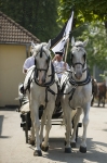 Název souboru=_IPA0138.jpg
Velikost souboru=282KB
Rozměry=533x800
Datum přidání=07. Červenec 2009 _IPA0138.jpg