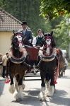 Název souboru=_IPA0148.jpg
Velikost souboru=316KB
Rozměry=532x800
Datum přidání=07. Červenec 2009 _IPA0148.jpg