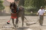 Název souboru=_IPA0573.jpg
Velikost souboru=306KB
Rozměry=800x533
Datum přidání=07. Červenec 2009 _IPA0573.jpg