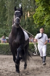 Název souboru=_IPA0723.jpg
Velikost souboru=338KB
Rozměry=533x800
Datum přidání=07. Červenec 2009 _IPA0723.jpg