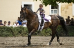 Název souboru=_IPA0770.jpg
Velikost souboru=306KB
Rozměry=800x533
Datum přidání=07. Červenec 2009 _IPA0770.jpg