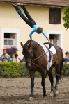 Název souboru=_IPA0786.jpg
Velikost souboru=299KB
Rozměry=533x800
Datum přidání=07. Červenec 2009 _IPA0786.jpg