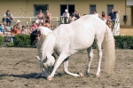 Název souboru=_IPA1024.jpg
Velikost souboru=345KB
Rozměry=800x533
Datum přidání=07. Červenec 2009 _IPA1024.jpg