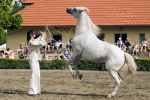 Název souboru=_IPA1026.jpg
Velikost souboru=413KB
Rozměry=800x534
Datum přidání=07. Červenec 2009 _IPA1026.jpg