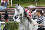 Název souboru=_IPA2175.jpg
Velikost souboru=328KB
Rozměry=800x533
Datum přidání=07. Srpen 2009 _IPA2175.jpg