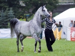 Název souboru=_IPA2193.jpg
Velikost souboru=355KB
Rozměry=800x600
Datum přidání=21. Červenec 2009 _IPA2193.jpg