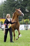 Název souboru=_IPA2196.jpg
Velikost souboru=324KB
Rozměry=533x800
Datum přidání=21. Červenec 2009 _IPA2196.jpg