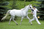 Název souboru=_IPA2244.jpg
Velikost souboru=345KB
Rozměry=800x533
Datum přidání=21. Červenec 2009 _IPA2244.jpg