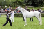 Název souboru=_IPA2275.jpg
Velikost souboru=408KB
Rozměry=800x533
Datum přidání=21. Červenec 2009 _IPA2275.jpg