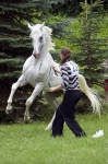 Název souboru=_IPA2368.jpg
Velikost souboru=352KB
Rozměry=533x800
Datum přidání=21. Červenec 2009 _IPA2368.jpg