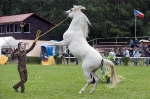 Název souboru=_IPA2374.jpg
Velikost souboru=400KB
Rozměry=800x533
Datum přidání=21. Červenec 2009 _IPA2374.jpg
