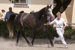 Název souboru=_IPA3710.jpg
Velikost souboru=304KB
Rozměry=800x534
Datum přidání=06. Srpen 2009 _IPA3710.jpg