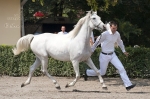 Název souboru=_IPA3805.jpg
Velikost souboru=380KB
Rozměry=800x533
Datum přidání=05. Srpen 2009 _IPA3805.jpg