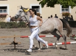 Název souboru=_IPA3821.jpg
Velikost souboru=378KB
Rozměry=800x600
Datum přidání=06. Srpen 2009 _IPA3821.jpg