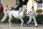Název souboru=_IPA3960.jpg
Velikost souboru=343KB
Rozměry=800x534
Datum přidání=05. Srpen 2009 _IPA3960.jpg