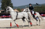 Název souboru=_IPA5237.jpg
Velikost souboru=380KB
Rozměry=800x533
Datum přidání=17. Květen 2009 _IPA5237.jpg