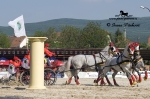 Název souboru=_IPA5335.jpg
Velikost souboru=412KB
Rozměry=800x533
Datum přidání=17. Květen 2009 _IPA5335.jpg
