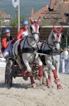 Název souboru=_IPA5429.jpg
Velikost souboru=415KB
Rozměry=533x800
Datum přidání=17. Květen 2009 _IPA5429.jpg