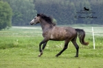 Název souboru=_IPA6553.jpg
Velikost souboru=301KB
Rozměry=800x534
Datum přidání=24. Květen 2009 _IPA6553.jpg