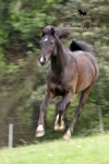 Název souboru=_IPA6578.jpg
Velikost souboru=277KB
Rozměry=534x800
Datum přidání=24. Květen 2009 _IPA6578.jpg