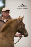 Název souboru=_IPA6991.jpg
Velikost souboru=242KB
Rozměry=533x800
Datum přidání=27. Květen 2009 _IPA6991.jpg
